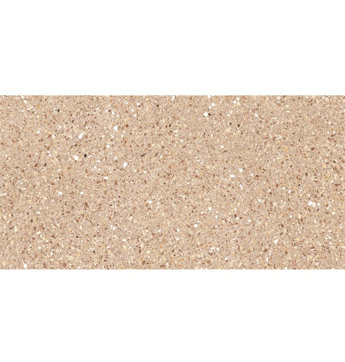 Niro Granite GTZ02 Terrazzo Brunneis 60x60
